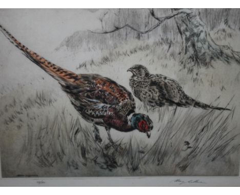 HENRY WILKINSON (1921-2011). Game birds and a gun dog, signed in pencil, etchings, a pair, framed and glazed, 27.5 x 35 cm  (