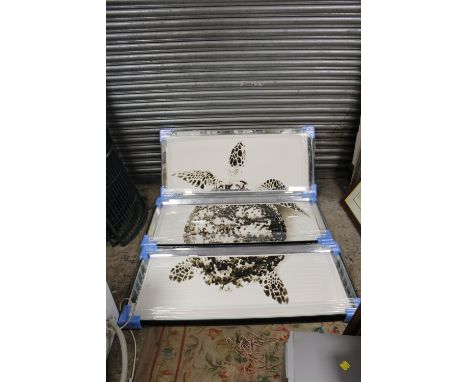 A JENNY BLANC THREE PIECE SPLIT PRINT OF A TURTLE, IN BEVELLED MIRROR FRAME, OVERALL SIZE INCLUDING FRAME OF EACH PANEL 127 X