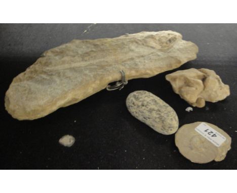 A Tharius Cretaceous aged fossilized fish, approximately 90 million years old, found North East Brazil together with a furthe