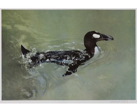 Raymond Harris-Ching (New Zealander, b.1939)'The Great Auk imagined off Eldey Island'offset lithograph in colours, signed 'Ra