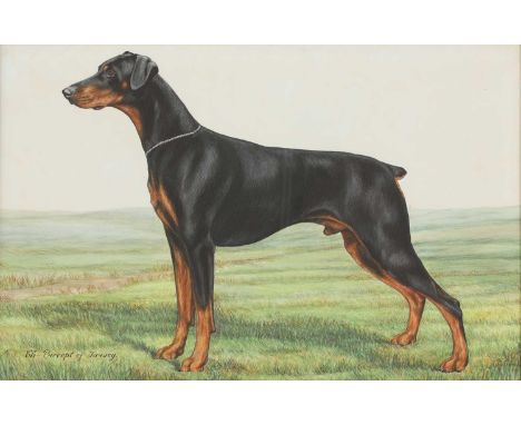 Miss K C Brown (fl.1937-1962)'Champion Precept of Tarvey', a Dobermann Pinschersigned and dated 'KC Brown 1960' l.r., waterco