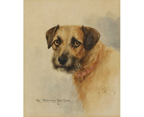 Reuben Ward Binks (1880-1950)Champion 'Tweedside Red Type', a Border terrierinscribed l.l., signed 'R Ward Binks/1923' l.r., 