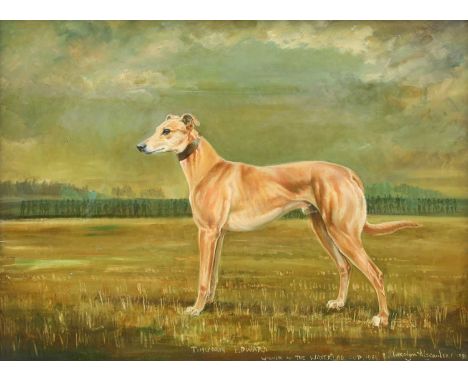 *Carolyn Alexander (b.1948)'Timworth Edward', study of a greyhoundsigned and dated 'Carolyn Alexander 1984' l.r., and inscrib