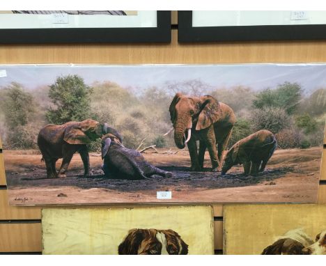Anthony Gills, signed 'Pachyderm Pleasine' Sept 03, print 81/195.