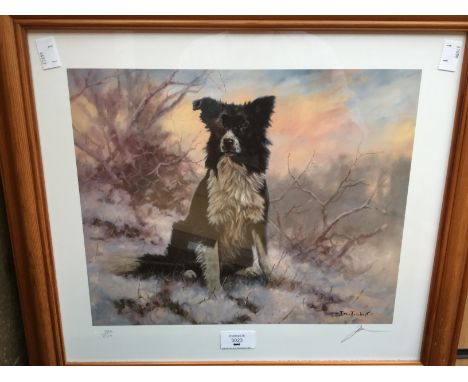 John Trickett limited edition artist print of a sheepdog number 184/500, signed by artist. 