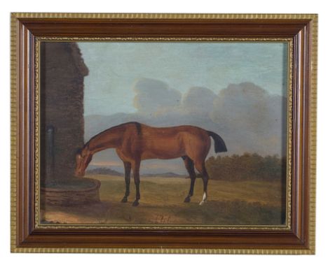 Follower of Francis Sartorius (British, 1734-1804):Portrait of a horse drinking water, oil on panel, indistinctly signed lowe