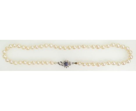 Cultured Pearl Choker with 18ct white gold &amp; sapphire cluster catch. Measures 41cm approx., diameter of pearls is approx.