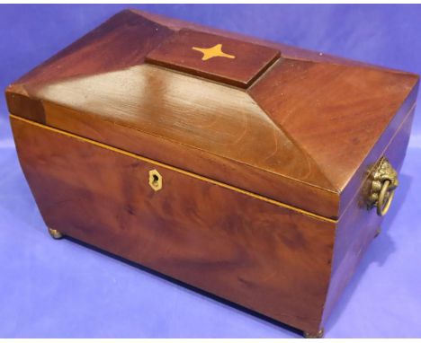 Georgian sarcophagus mahogany tea caddy, 26 x 17 x 15 cm. P&amp;P Group 3 (£25+VAT for the first lot and £5+VAT for subsequen