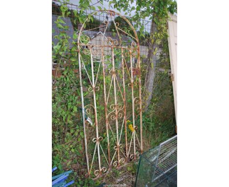 An arched gate, 31"wide x 71" high.