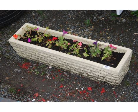 A concrete long planter (planted).