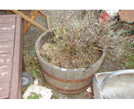 A circular barrel planter with lavender.