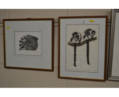 Gary Hodges, pencil signed print "Ring Tailed Lemur"; together with one other print of two lemurs