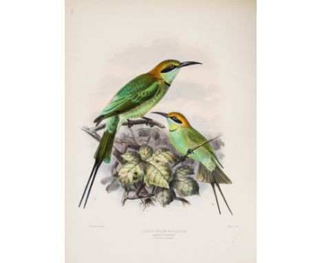 Dresser (Henry Eeles) Monograph of the Meropidae, or Family of Bee-eaters, first edition, 34 hand-coloured lithographed plate