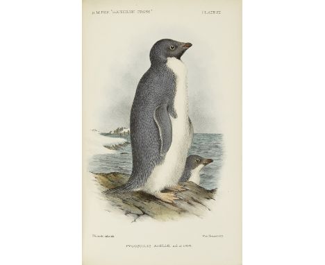 BORCHGREVINK (CARSTEN)Report on the Collections of Natural History made in the Antarctic Regions during the Voyage of the 'So