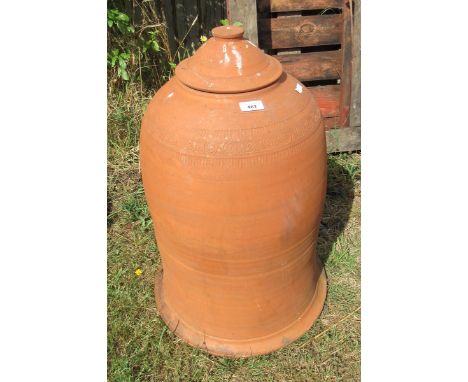 Terracotta rhubarb forcer 