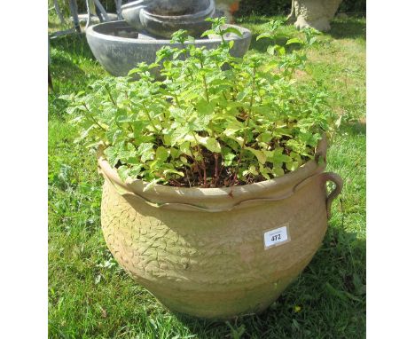 Terracotta planter planted with mint 
