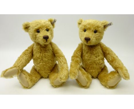 Two Steiff Bears both gold plush with growler with Steiff ear button, H35cm (2)  