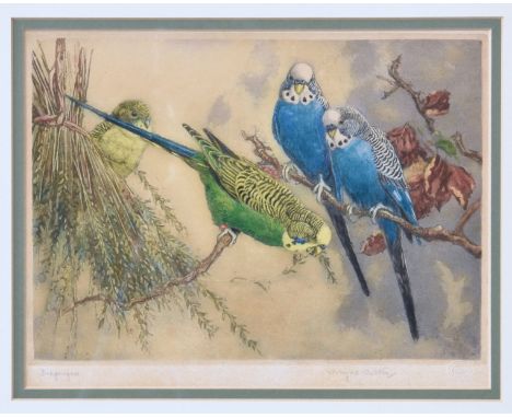 Winifred Austen RE, RI (British, 1876-1964), "Budgerigars", etching in colours on wove paper, signed in pencil lower left, ti