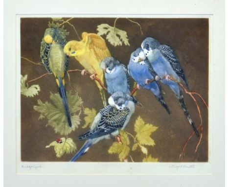 Winifred Austen RE, RI (British, 1876-1964), "Budgerigars", etching printed in colours on wove paper, signed in pencil lower 