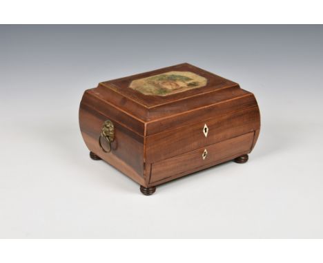 A Regency rosewood &amp; mahogany work box, of shaped sarcophagus form, the hinged cover with rectangular panel depicting a p