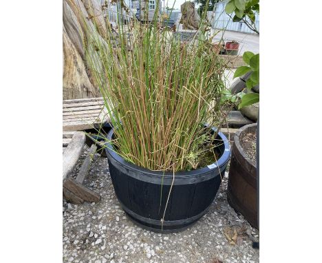 A WOOD EFFECT HALF BARREL PLANTER 