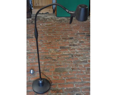 Flexible lamp