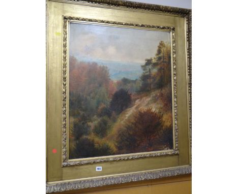 Gilt frame oil on canvas of a Scottish Highland scene, signed L R DEUCHERS condition:The canvas that is in the frame measures