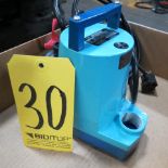 Little Giant Garden Hose Sump Pump.