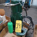 Zoeller 2'' Sump-Pump.