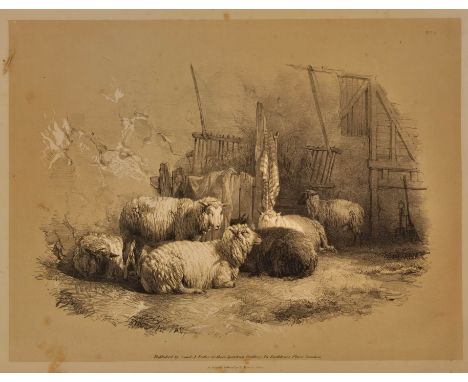 Cooper (Thomas Sidney). Studies of Cattle, drawn from nature..., Parts 1 &amp; 2, New Edition, London: S. &amp; J. Fuller, ci