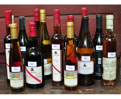 Two bottles of D'Arenberg Vintage Fortified Shiraz, 1998, a bottle of Chain of Ponds Shiraz, and twelve other bottles, variou