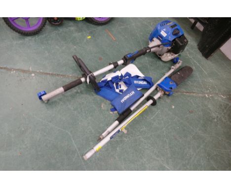 Hyundai petrol extendable long reach pole saw/ pruner/chainsaw