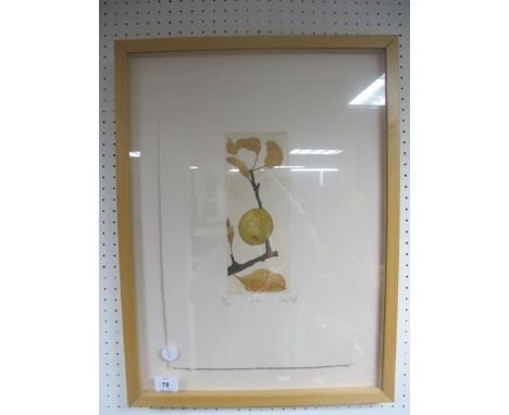 CLEONA DOYLE
Malus
Lithograph
Limited Edition 126/220