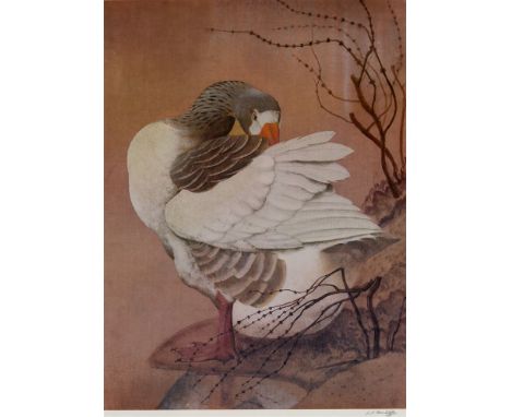AFTER C.F. TUNNICLIFFE The Gander  Colour print, limited edition, of 306 copies, signed in pencil lower right.  Sherborne gal