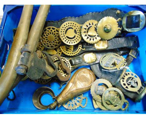A PAIR OF BRASS CASED HAMES breast straps hung with brasses, assorted single horse brasses, and a copper powder flask