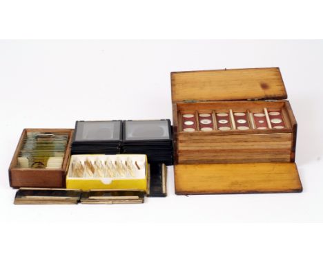 A Good Group of Prepared Microscope Slides, inc Diatoms, Insects, a Micro Photograph etc. Approx 60 slides in a fitted 10-dra