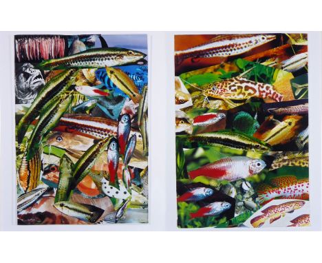 Isa Genzken – Aquarium I und IIZwei C-Prints. 2001. Jeweils 31,4 x 25,3 cm. Auf einem rückseitigen Etikett signiert und numme
