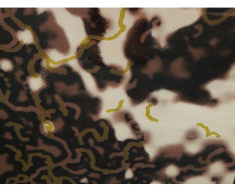 Harold Cohen (1928-2016).  Untitled #2, screen print 18/75, artist signed, numbered and dated 1967, 56cm x 56cm