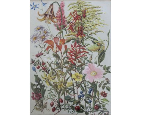 ALICIA MARGARET TYSSEN AMHERST, LADY ROCKLEY (1865-1941) BOTANICAL STUDIES Seven, each initialled AR, two dated 1935, waterco