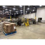 Sencorp Straight Line Blister Machine with Flow Wrapper