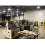 Alloyd Aergosl In-Line Blister Sealer with Flow Wrapper