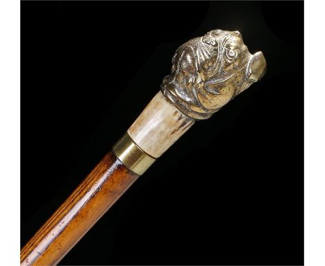 Oak sword stick with a brass bulldog handle with horn and brass collar on an oak shaft, the triangular blade 42cm. With metal