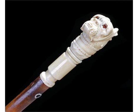 Victorian ivory bull dog head walking stick, the well carved dog head with glass inlaid eyes and a carved collar, ivory ferru