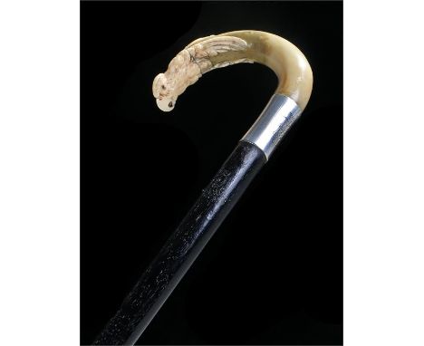 Carved horn and ivory walking stick, the handle of crook shape with the ivory top carved as a parrot and silver collar, marks