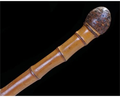 Bamboo fishing rod walking stick with root handle, the tip of the metal ferrule unscrews to gain access to the extending fish