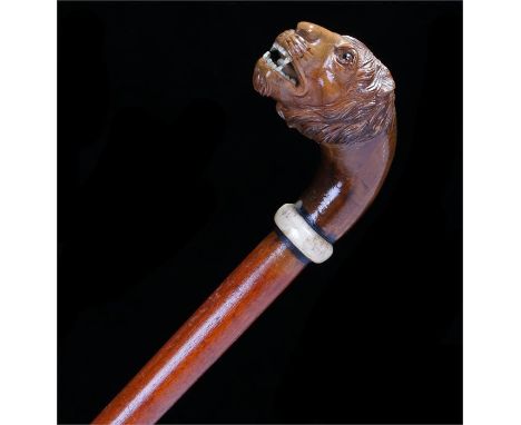 Late 19th Century carved lion head stick with inlaid eyes, teeth and tongue, ivory ring collar. Length 81cm