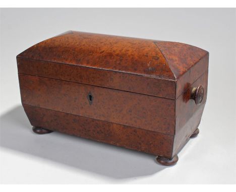 19th Century birdseye maple sarcophagus tea caddy, raised on bun feet and with circular turned handles, the interior fitted w