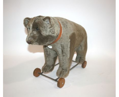 STEIFF BEAR ON WHEELS - LIMITED EDITION a large boxed Steiff Bear on wheels, Bar auf Radern 1921. Number 520 of 1500 produced