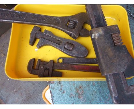 Draper Lobster , Gordon Tools , The Jackdaw and 2 others