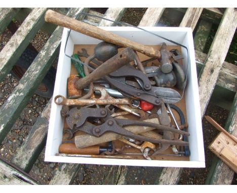 Box of Assorted Tools